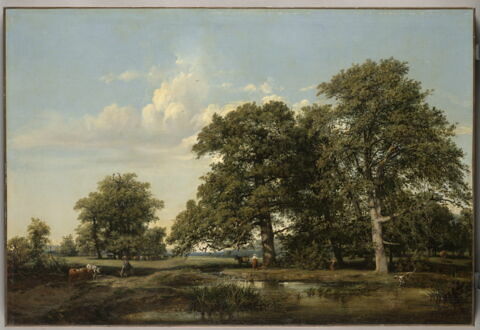 Paysage
