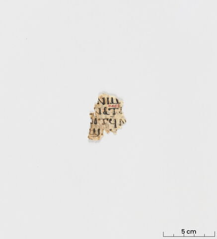feuillet de codex ; fragment, image 3/6