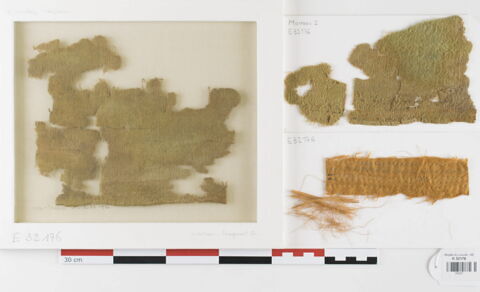 manteau ; fragments