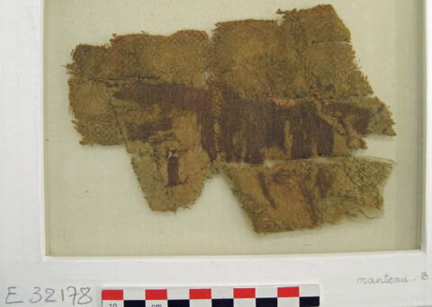 manteau ; fragment, image 2/2