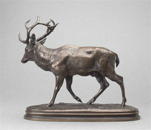 Cerf qui marche n°1, image 2/2