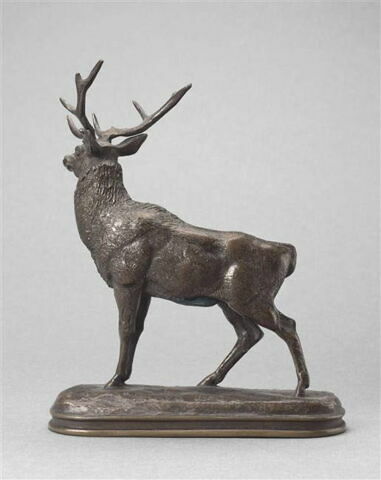 Cerf qui écoute, image 3/5