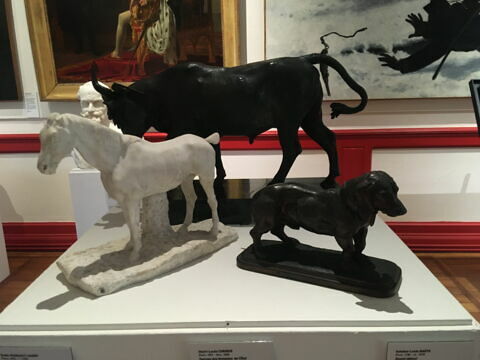 Basset debout, image 3/3