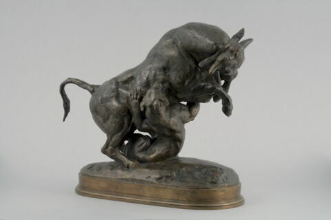 Taureau surpris par un tigre, image 2/9
