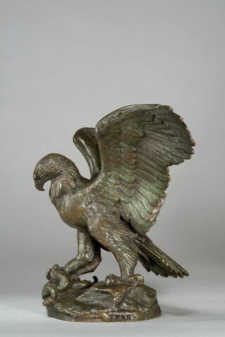 Aigle emportant un serpent, image 5/10