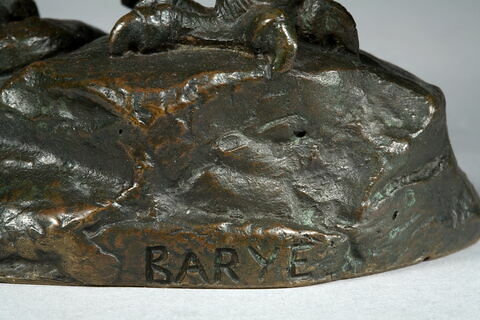 Aigle emportant un serpent, image 3/10