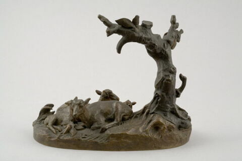 Famille de bouquetins, image 4/13