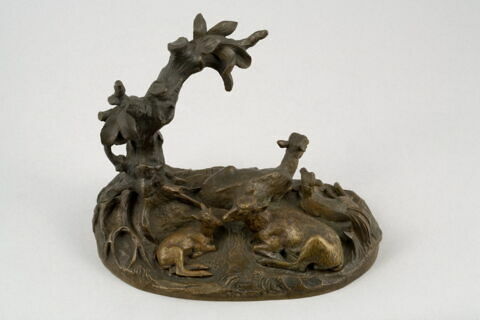 Famille de bouquetins, image 8/13
