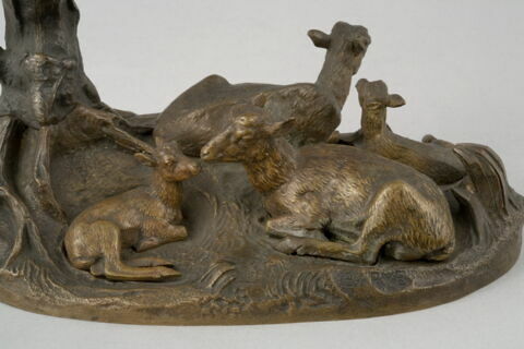 Famille de bouquetins, image 9/13