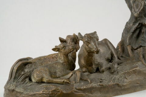 Famille de bouquetins, image 10/13