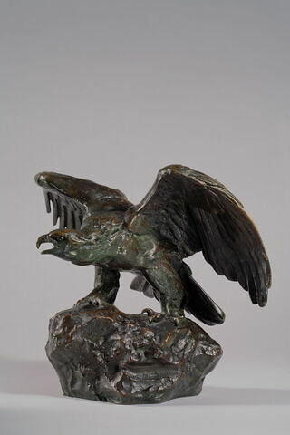 Aigle les ailes étendues le bec ouvert, image 3/9