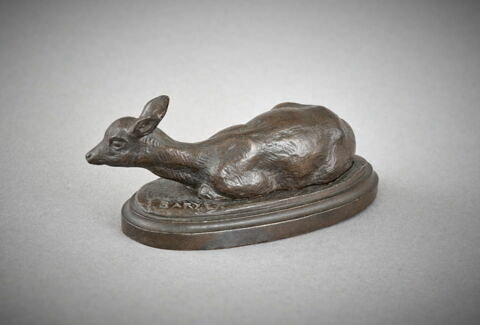 Faon de daim, image 2/2