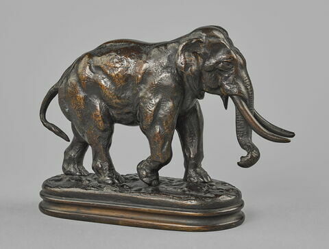Éléphant d'Asie, image 2/7