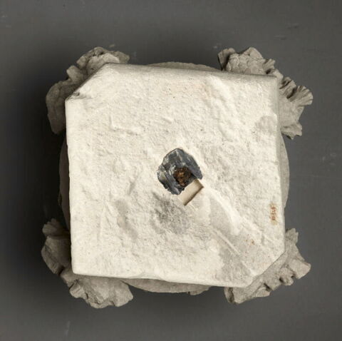 Chapiteau décoré de feuilles de vigne vierge, image 4/12