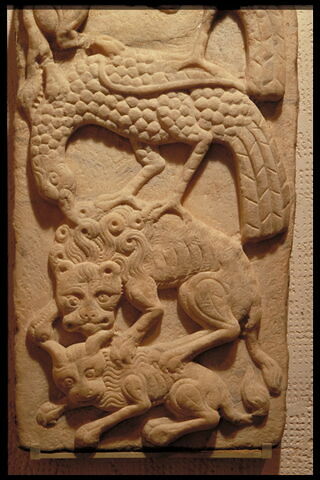 Quadrupèdes et rapaces combattant, image 4/4