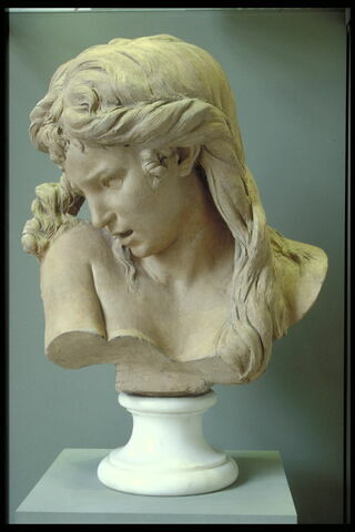 Jeune fille affligée, image 13/13