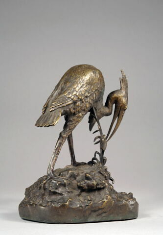 Héron et sa grenouille, image 5/7