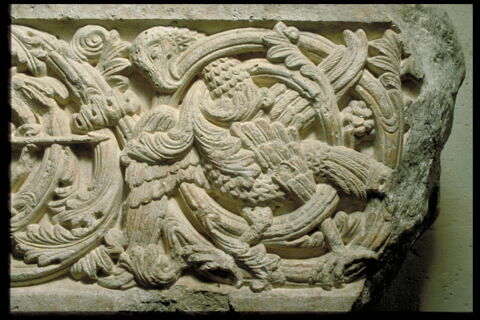 Fragment de linteau à décor de rinceau habité, image 2/5