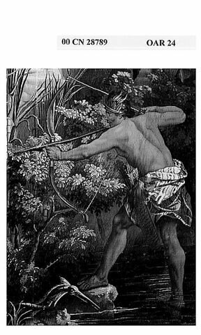 Le Cheval rayé, de la tenture des Indes, image 6/10