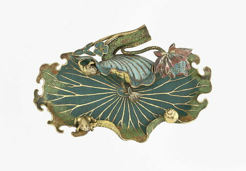 Feuille de lotus nelumbo nucifera