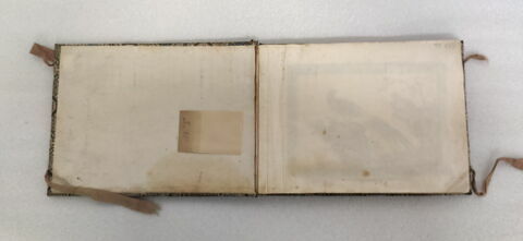 Petit album de peintures d'exportation: fleurs, oiseaux et insectes, image 4/31