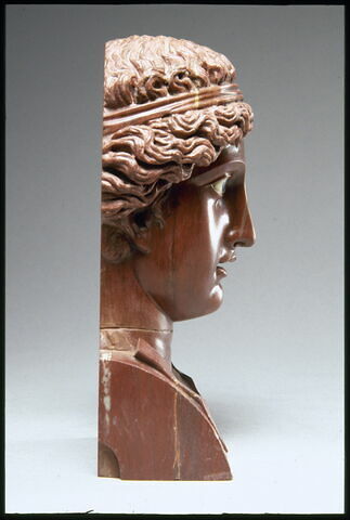 Buste d'Apollon couronné de bandelettes, image 9/10