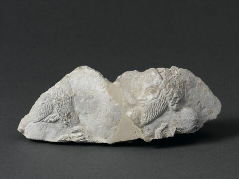 relief ; masse d'armes