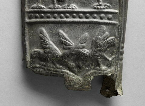 plaque de carquois, image 5/12