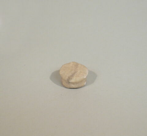 bouchon de vase, image 3/3