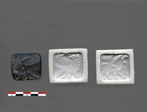 cachet, image 3/4