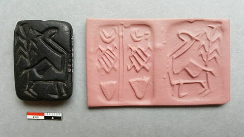 cachet, image 2/3