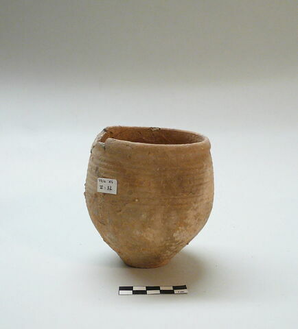 vase
