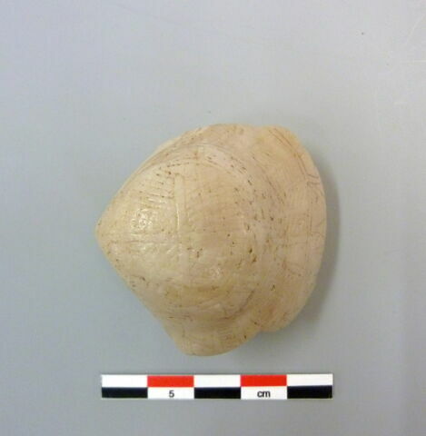 boîte à fard, image 8/12