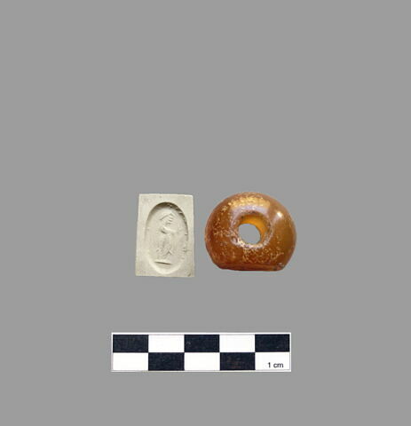 cachet ; dactylioïde, image 2/2