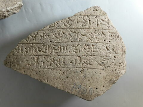 bassin ; fragment, image 2/5