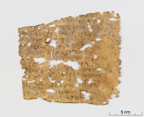 feuillet de codex ; fragment, image 2/6