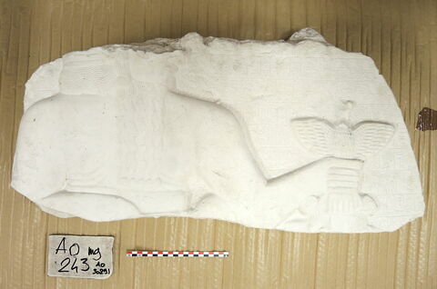 moulage, image 31/34