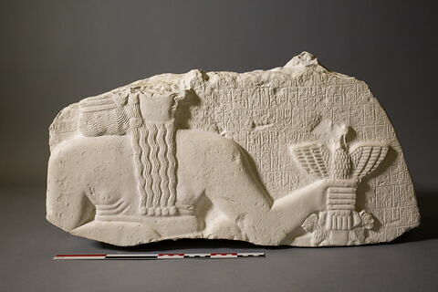 moulage, image 6/34