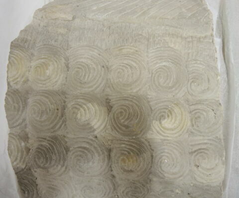 moulage, image 4/4