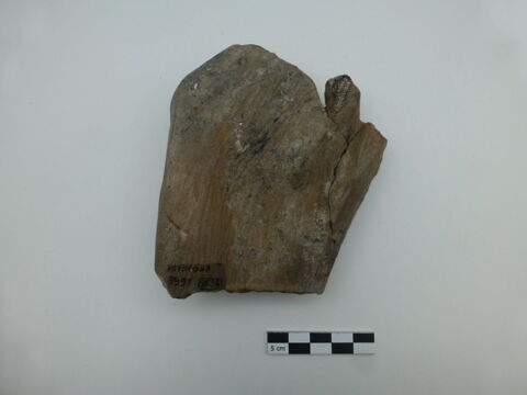 sculpture, fragment