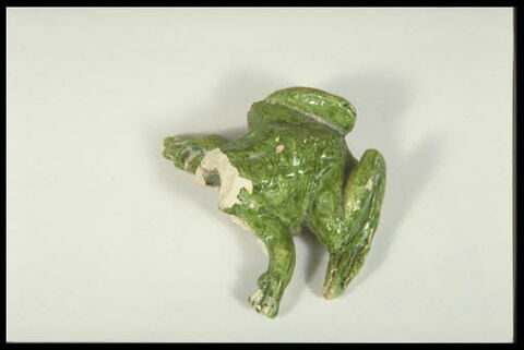 Grenouille de fontaine, image 7/8