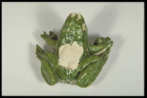 Grenouille de fontaine, image 8/8