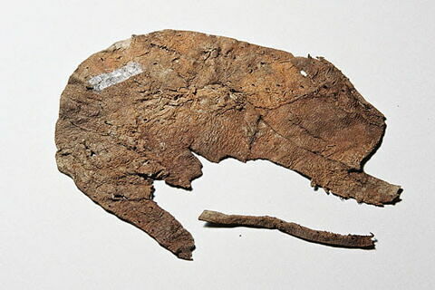 bourse, fragment, image 2/2