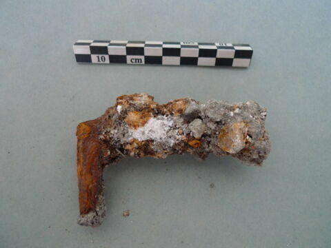nodule, image 2/3