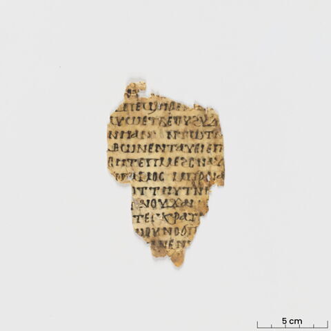 feuillet de codex ; fragment, image 2/6