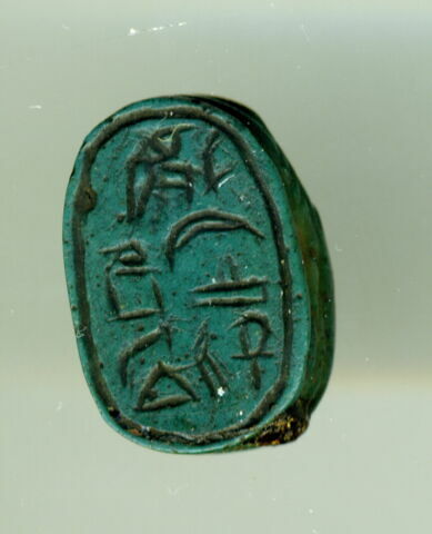 scarabée détaillé, image 3/3