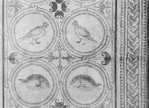 Mosaïque de Qabr Hiram, image 64/65
