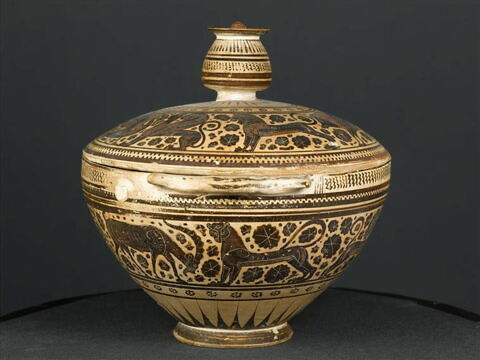 pyxis, image 5/10