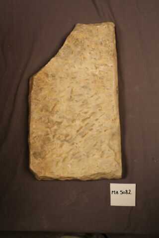 chapiteau de pilastre, image 2/3