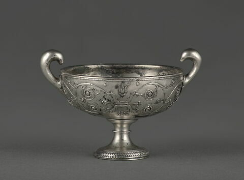 Trésor de Boscoreale : coupe